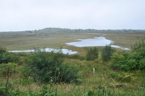 DSC_0996.JPG