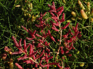 DSCN4214.JPG