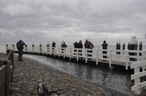 DSC_0959.JPG