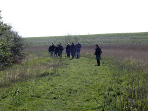 DSCN4542.JPG