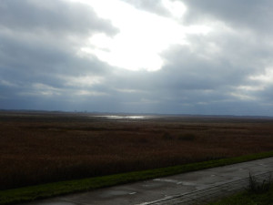 DSCN4617.JPG