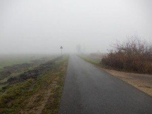 DSCN4625.JPG