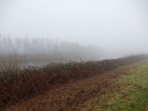 DSCN4636.JPG