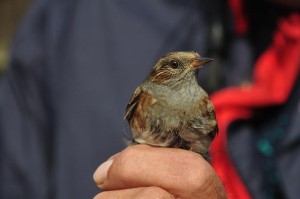 DSC_0820.JPG