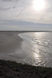 DSC_0714.jpg