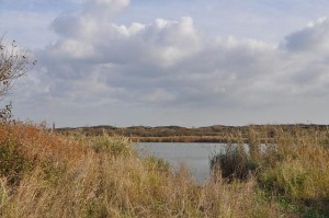 DSC_0716.jpg