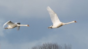 20230225-DSC_1196.jpeg