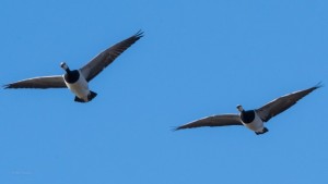 20230225-DSC_1222.jpeg