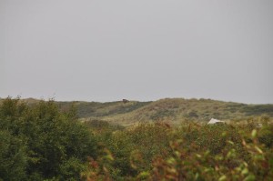 DSC_0714.JPG
