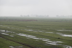 DSC02985.JPG