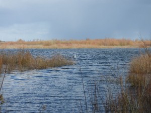 DSCN0913.JPG
