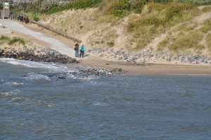 DSC_0622.JPG